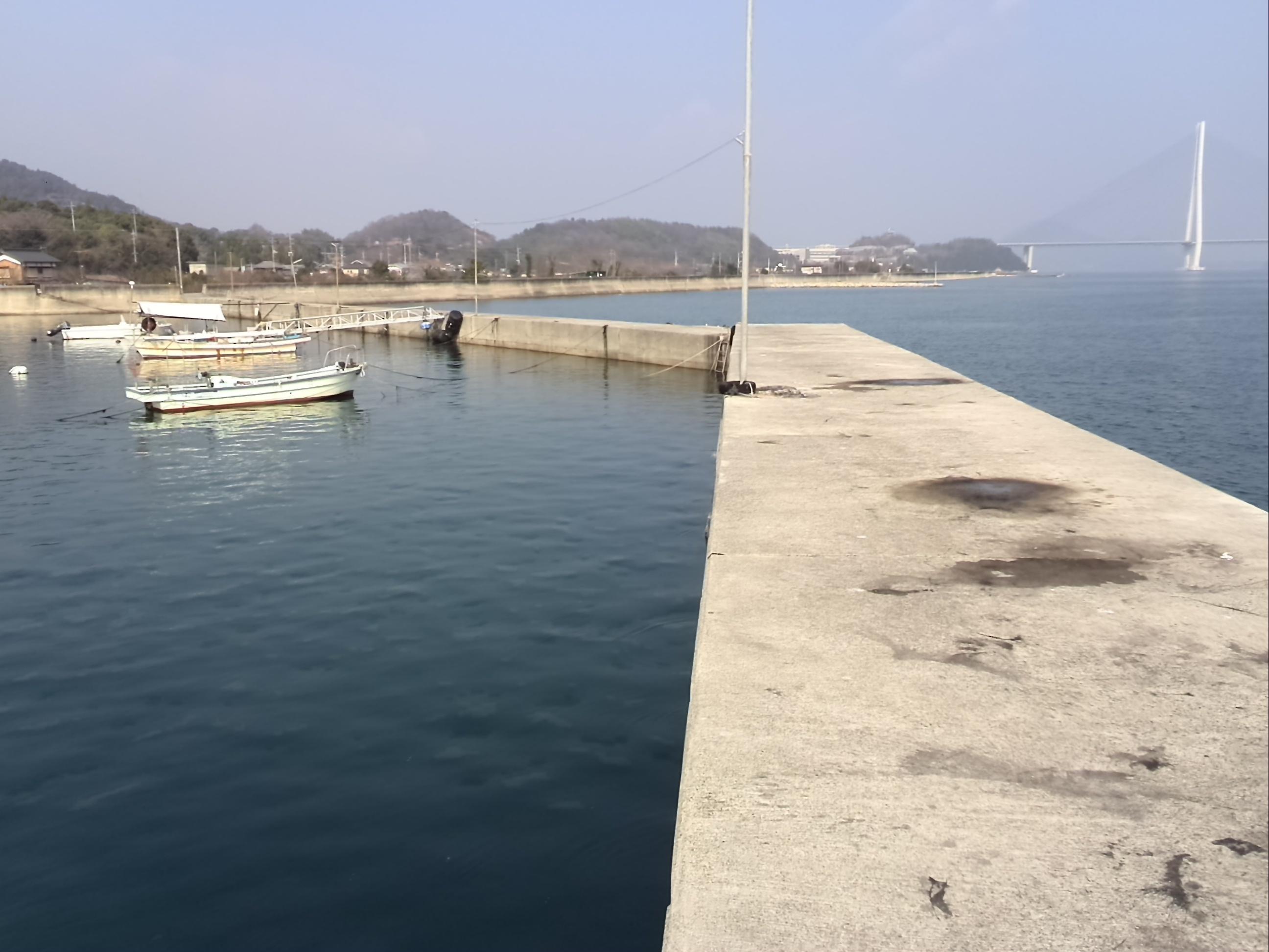 大三島甘崎港の釣りポイント